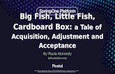 Big Fish, Little Fish, Cardboard Box: a Tale of Acquisition, Adjustment and Acceptance