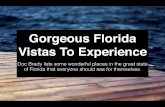 Beautiful Florida - Doc Brady
