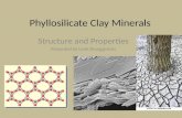 Phyllosilicate clays