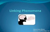 Linking Phenomena