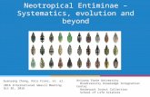 Franz Zhang et al Weevil Workshop 2016 Neotropical Entiminae Systematics evolution and beyond