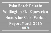 Palm Beach Point in Wellington FL | Equestrian Homes for Sale | Market Report March 2016