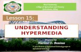 educational technology 2 Lesson 15  understanding hypermedia