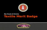 Textile Merit Badge