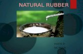 natural rubber composite