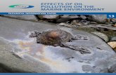 effects of oil pollution on the marine environment - ITOPF