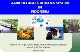 Agricultural statistics system in Indonesia