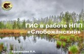 Brusentsova n.   gis in the work of slobozhanskiy national park