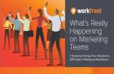 The State of Marketing Work Report 2015