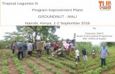 TL III Genetic Gains Program improvement plan_Groundnut_Mali