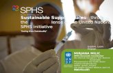 UN Global Compact Webinar on Sustainable Supply Chains: through the lense of the United Nations SPHS initiative