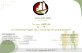Paradise Blue - Travel Agency