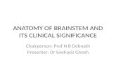 Anatomy of brainstem and its clinical significance