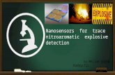 Nanosensors for trace explosive detection