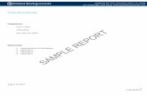 Sample Entity Due Diligence Profile Report