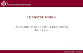 Disaster Risk Presentation