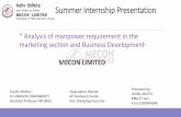 Summer Internship presentation 2