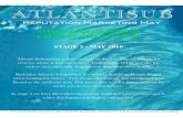 Atlantis Submarines Reviews Marketing Report #2