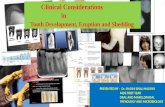 Clinical consideration in tooth development, eruption and shedding