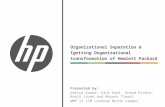 Hewlett Packard (HP) - Restructuring & Separation Analysis (Designing Work Organization Project Presentation)