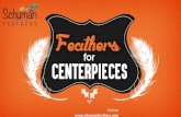 Feathers for Centerpieces - Schuman Feathers