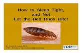 How to Sleep Tight and Not Let the Bed Bugs Bite!