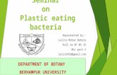 Plastic eating bacteria