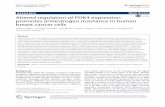 Altered regulation of PDK4 expression promotes antiestrogen ...