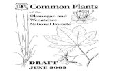 Common Plants of the Okanogan and Wenatchee National Forests