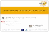 Diversity-Aware Recommendation for Human Collectives