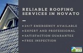 Professional and Reliable Roofers in Novato