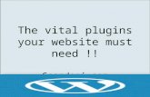 The vital plugins , your website must need !!