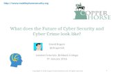 The Future of Cyber Security and Cyber Crime