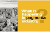 Payment Industry Overview