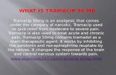 What is tramacip 50 mg