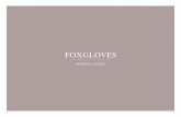 Foxgloves sales brochure (3)