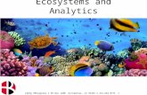 Minneanalytics Version of Ecosystems and People Analytics