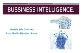 Bussiness intelligence