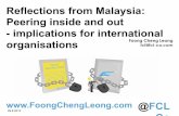 Reflections from Malaysia: Peering inside and out - implications for ...