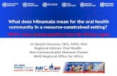 Meaning of Minamata for oral health community in a resource-constrained setting? ( Benoit Varenne)