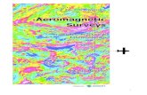 Aeromagnetic Surveys: Principles, Practice and Interpretation