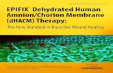 (dHACM) Therapy: The New Standard in Bioactive Wound Healing