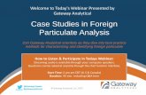 Webinar: Case Studies in Foreign Particulate Analysis