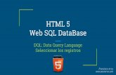 WebSQl DataBase HTML5-dql - data query language