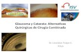 04 glaucoma y catarata. alternativas quirúrgicas. viña 2