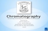 Ion exchange chromatography and affinity chromatography