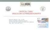 Vascular sonography 4th international congress on critical care Tehran Iran