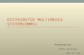 Distributed Multimedia Systems(DMMS)
