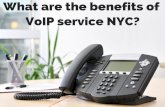 Find Voip Phone Service Provider in NYC