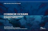 149th Session of the FAO Council - Common Oceans